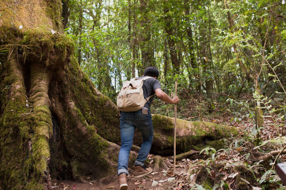 Bukit Taisho